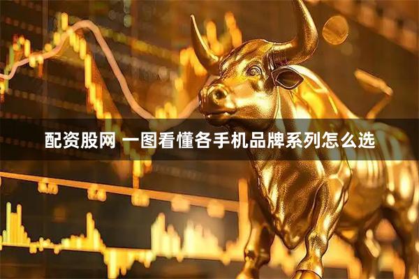 配资股网 一图看懂各手机品牌系列怎么选