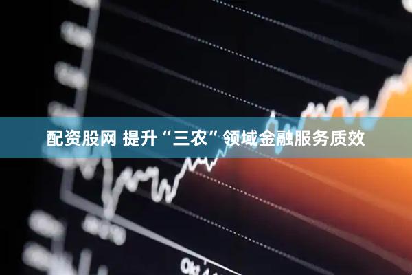 配资股网 提升“三农”领域金融服务质效