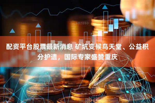 配资平台股票最新消息 矿坑变候鸟天堂、公益积分护遗，国际专家盛赞重庆